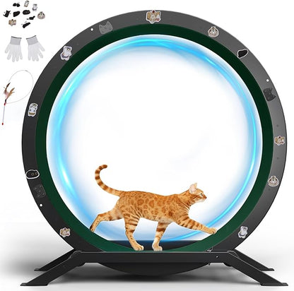 GTRACING Cat Wheels, 40" Diameter, Large Cat Exercise Wheel for Indoor Cats cat Treadmill Metal with Detachable Carpet & Teaser/Stickers, Ultra-Quiet Scroll Wheel with Latch, Safe and Stable, Green