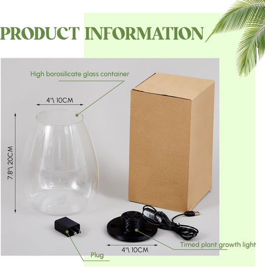 Maxdot Glass Plant Terrarium Kit with Light for Succulent, Moss, Miniature Gardening Landscape, Betta Fish Tank, Office Home Decoration, Plant Lovers Gifts (6.9 x 7.8 Inch)