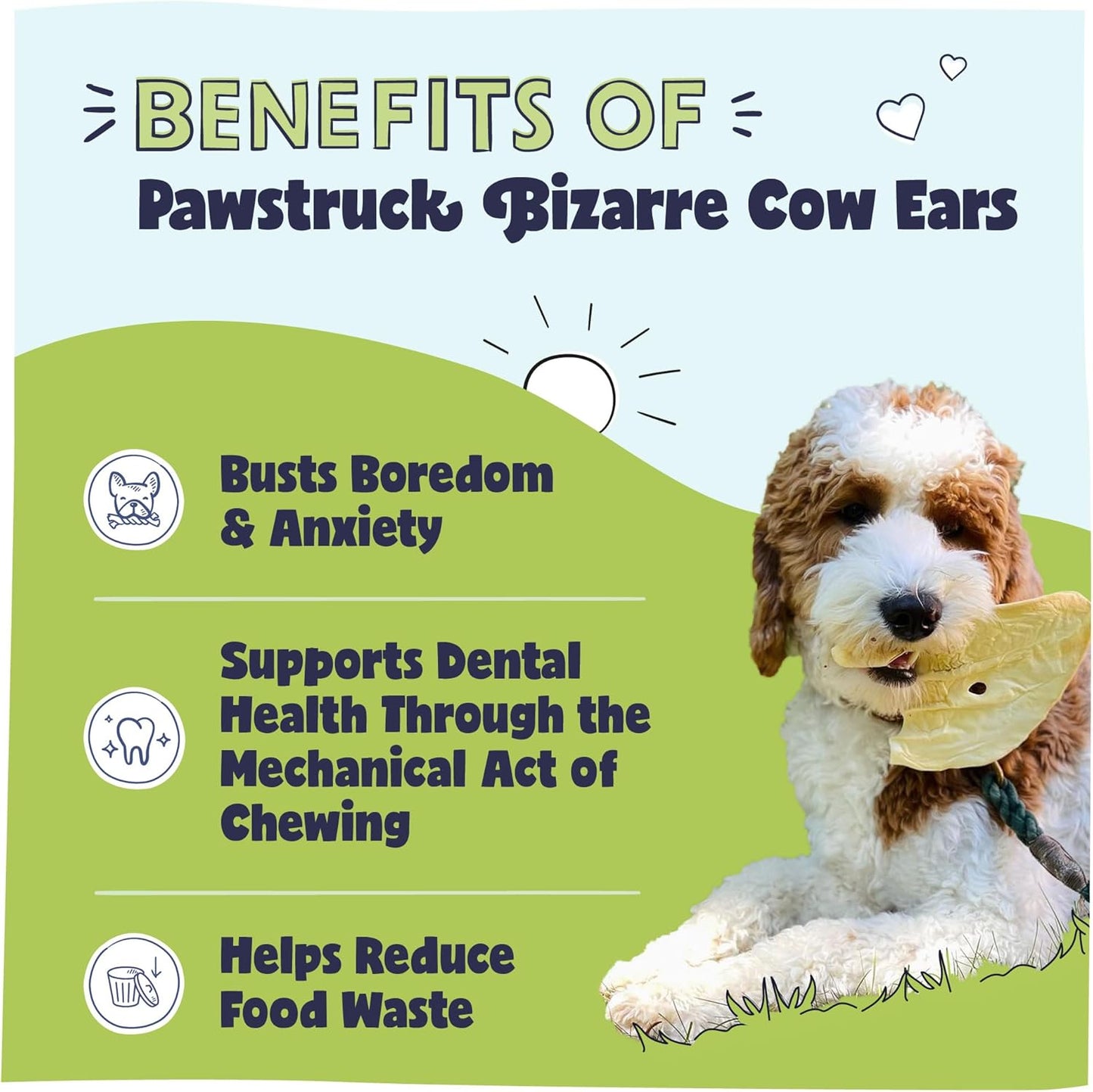 Pawstruck Natural Bizarre Cow Ears Bargain Bag – Rawhide-Free, Highly Digestible, Low Calorie & Long-Lasting Chew Treat for All Breeds – 1.5 lb Bag