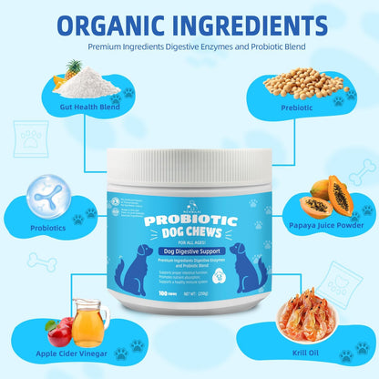 Natural Probiotic Digestive Supplement for Dogs - Probiotic Chewable with Prebiotics and Enzymes Supports Gut Health, Diarrhea & Digestion, Improve Immune System Allergy Itch Skin