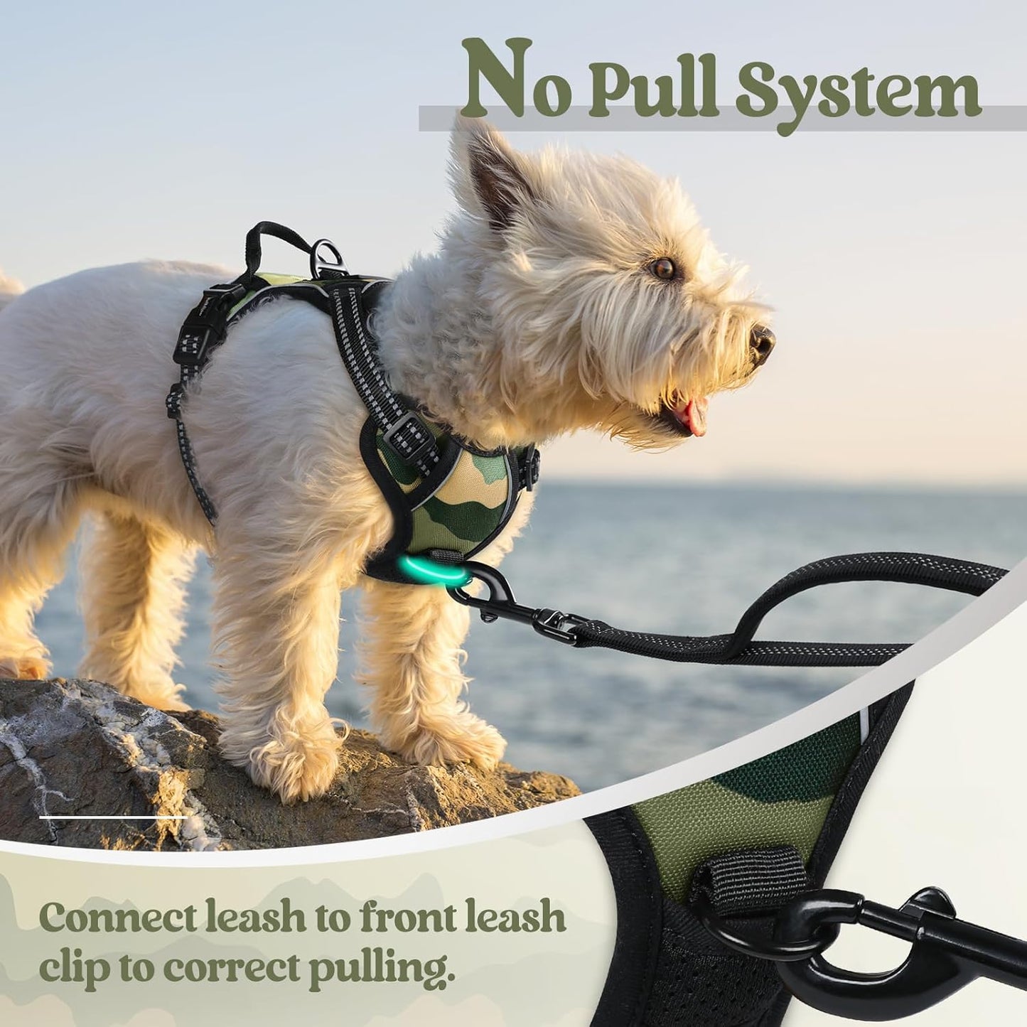 rabbitgoo Dog Harness No Pull with 2 Leash Clips, Adjustable Soft Padded, Reflective Oxford No Choke Pet Vest with Easy Control Handle for Large Dogs, Green Mountain,XS