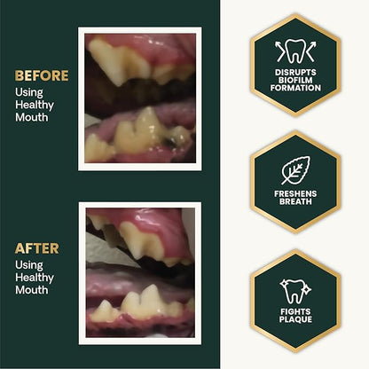 VetriScience Dental Care Powder for Dogs & Cats – Helps Reduce Plaque & Tartar Buildup, Clean Teeth & Fresher Breath, Clinically Tested, Vet-Formulated Oral Supplement, 4.2 oz