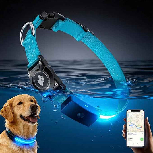 LED AirTag Dog Collar - Brightest Light Up Dog Collars - IP68 Waterproof Air Tag Dog Collar Holder - 1,600 Feet of High Visibility - Magnetic Charging - Dog Lights for Night Walking, Blue L