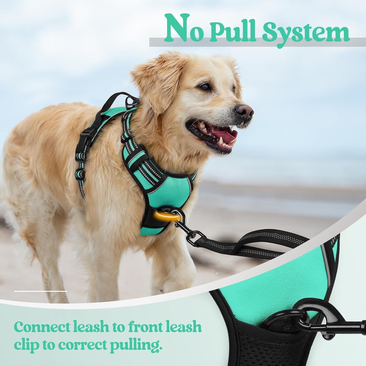 rabbitgoo Dog Harness No Pull with 2 Leash Clips, Adjustable Soft Padded, Reflective Oxford No Choke Pet Vest with Easy Control Handle for Medium Sized Dogs, Turquoise, M