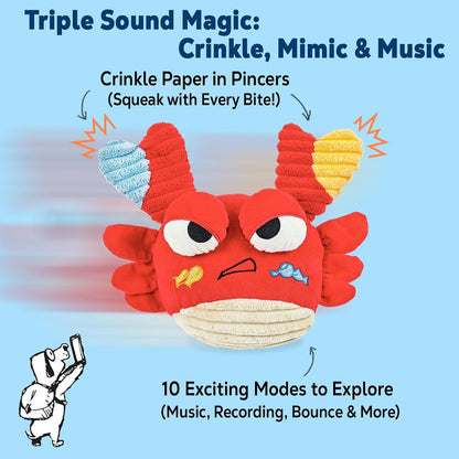 Interactive Dog Toys - Bouncing Crab with Music and Recording, Moving Ball for Small/Medium/Large Puppy to Keep Them Busy for Boredom, Smart Motion Activate Pet Toy, Rehargeable (Angry-Looking)