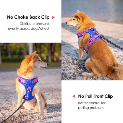 PHOEPET No Pull Dog Harness, Unique Colors Reflective Adjustable Dog Vest, with Soft Training Handle Metal Clips for Small Medium Large Dogs (Royal Blue Base & Pink Straps,L)