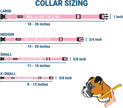 GoTags Personalized Dog Collar with Nameplate, Adjustable Dog Collar with Custom Engraved Slide On Pet ID Tag in Stainless Steel, Silent, No Noise Dog Tag for Large Medium and Small (Pink, Medium)