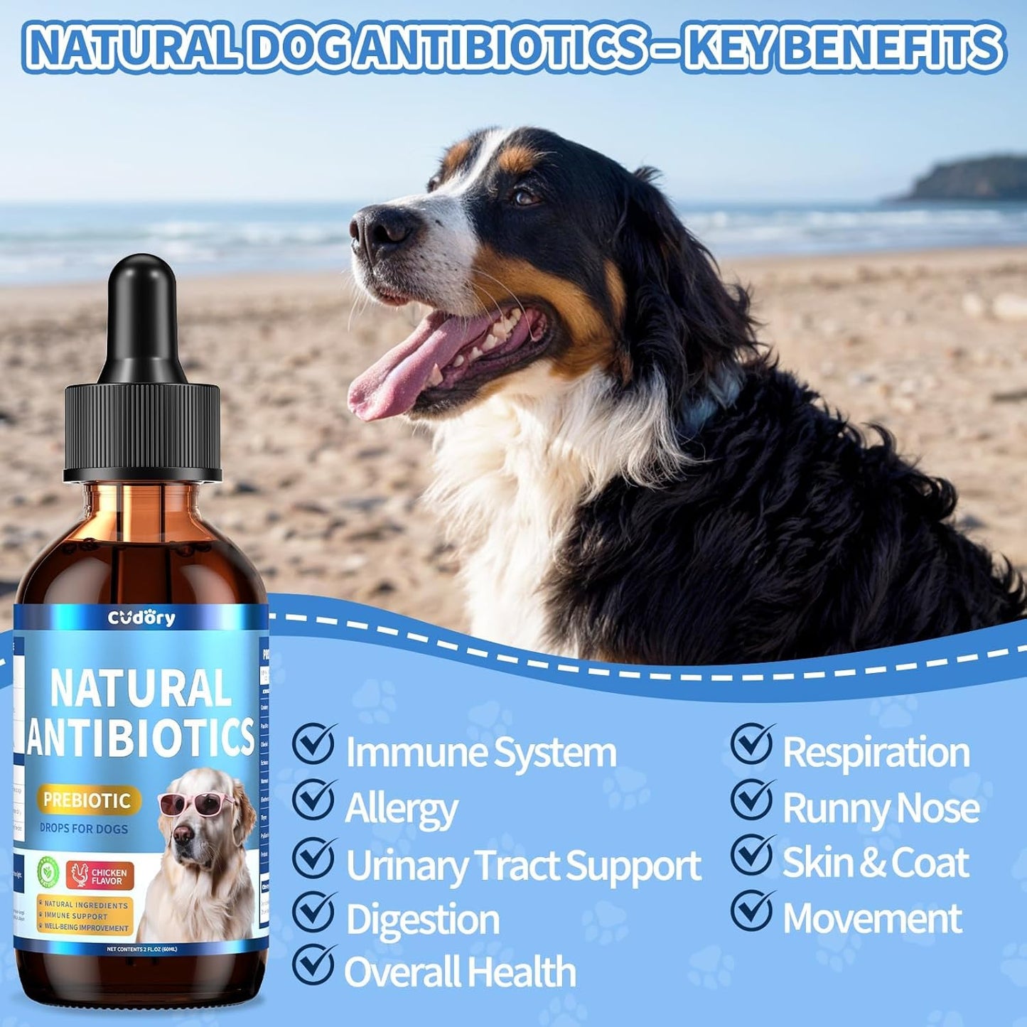 Natural Antibiotics for Dogs, Herbal Dog Antibiotics Supplement with Prebiotics for Dog Allergy Itch Relief Cough Immune Support Dog UTI Comfort for All Breeds and Ages-Chicken Flavor | 2 fl oz