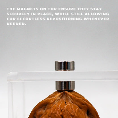 2 Pack Jumping Spider Enclosure Accessories with Walnut Shell Moss and Magnet, Natural Material Jumping Spider Hide