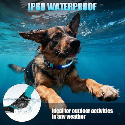 LED AirTag Dog Collar - Brightest Light Up Dog Collars - IP68 Waterproof Air Tag Dog Collar Holder - 1,600 Feet of High Visibility - Magnetic Charging - Dog Lights for Night Walking, Blue XL