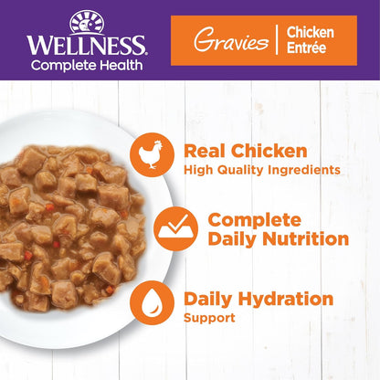 Wellness Complete Health Gravy Adult Wet Cat Food, Natural, Protein-Rich, Grain Free, 5.5 Ounce , 12 Pack, (Chicken Dinner)