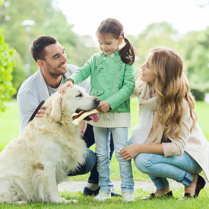 Sosation 6 Pcs Dog Toys for Aggressive Chewers Nylon Beef Flavor Bones Tough Puppy Teething Toys Puppy Chew Bones for Large Medium Small Breed Dogs Puppies Pets Chew Toys(Small Medium Large)