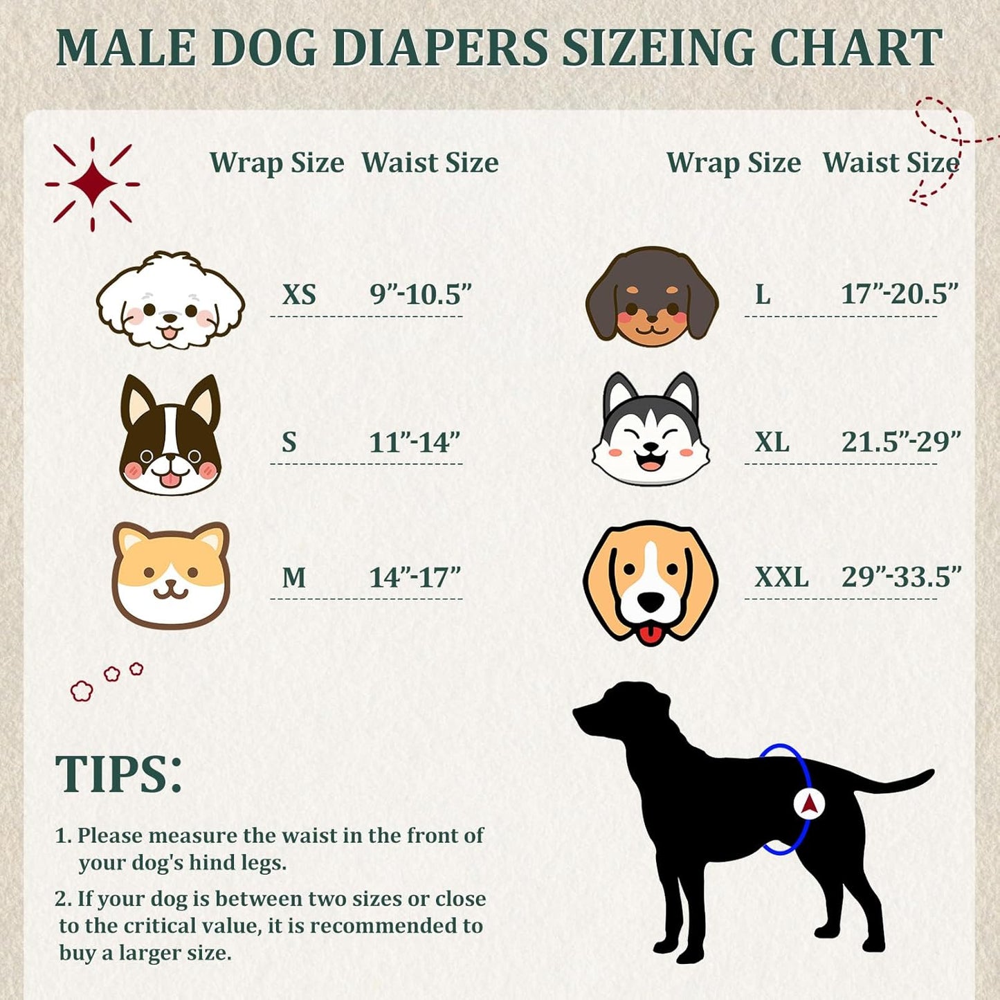 Reusable Dog Diapers Male, Premium Washable Belly Bands for Male Dogs Extra Large, Pack of 5, High Absorbing Male Dog Wraps for Doggie & Puppy in Incontinence or Excitable Urination and Training(XL) - Pawvie