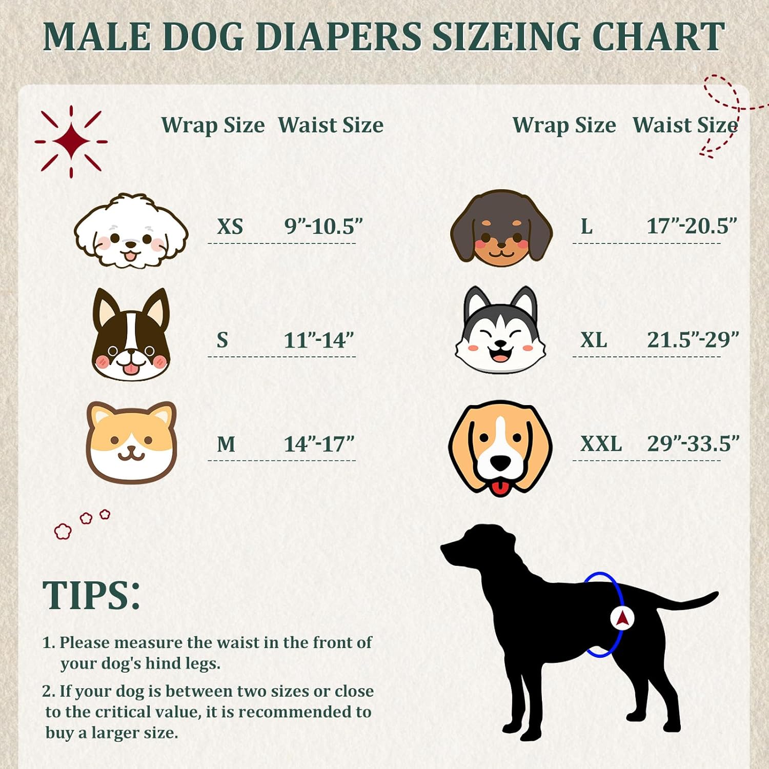 Reusable Dog Diapers Male, Premium Washable Belly Bands for Male Dogs Extra Large, Pack of 5, High Absorbing Male Dog Wraps for Doggie & Puppy in Incontinence or Excitable Urination and Training(XL) - Pawvie