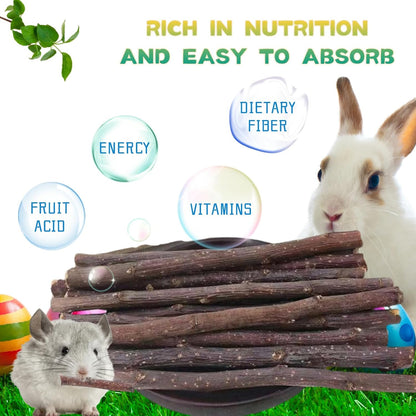 Natural Apple Wood Chew Sticks for Rabbits, Hamsters, Chinchillas, Guinea Pigs - Small Animal Dental Toys for Teeth Grinding & Boredom Relief, Safe Untreated Chew Treats, 350g (12.3oz)