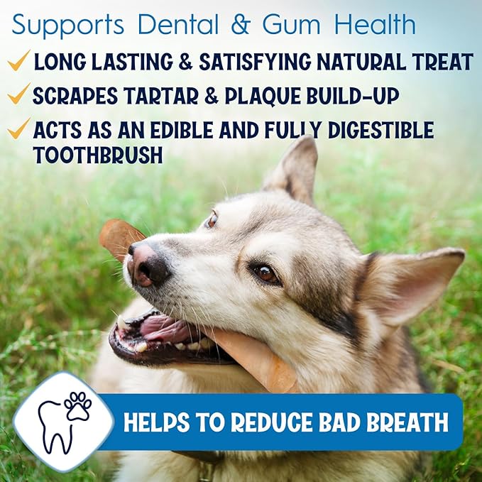 12" Collagen Sticks for Dogs – Low Odor Long-Lasting Bully Stick & Rawhide Alternative, Single Ingredient Beef Bone, High Protein Dental Treat, Vet Approved, Improves Joint Health – 5 Pack