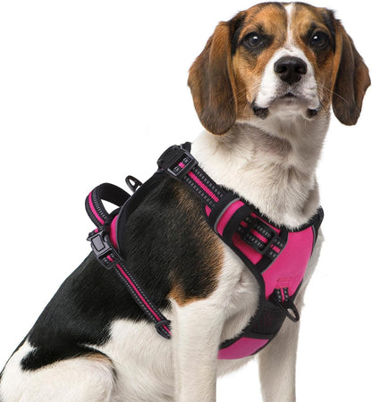 PUPTECK No Pull Dog Harness Medium Sized, Adjustable Reflective Dog Harness with Handle Easy Control, Comfortable Soft Padded Pet Vest Harness for Medium Dogs, Fuschia M