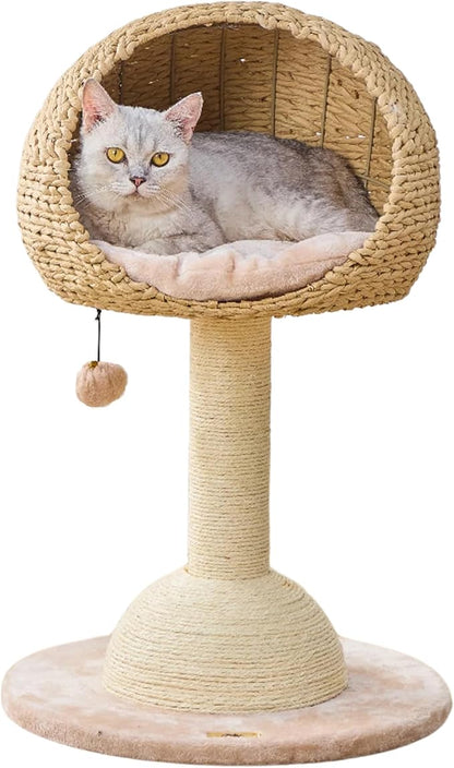 PetPals 2-Level Cat Tree with Handwoven Recycled Paper Rope Baskets, Sisal Scratching Posts, Playful Teaser Toy, Eco-Friendly, Washable Cushion, Cat Furniture (Brown Beige)