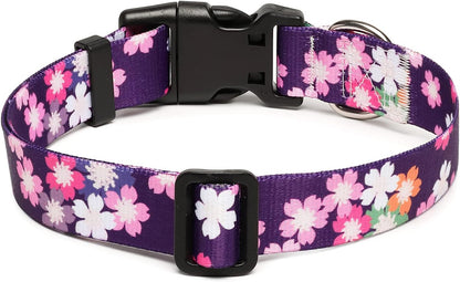 Mercano Adjustable Dog Collar - Special Design Patterns, Soft Nylon Comfortable Sturdy Pet Collar for Small Medium Large Dogs (S, Floral Pink)