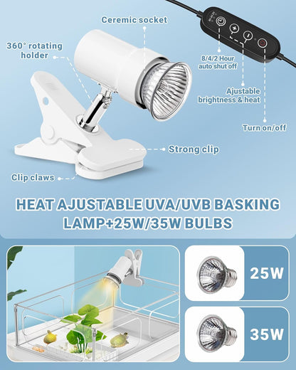 GOZILLA Small Turtle Tank Kit(Tank+Lamp+Filter), Acrylic Turtle Starter Kit with Adjustable Lamp, Reptile Habitat and Terrarium with Multi-Functional Areas for Small Reptiles. (White Kit) - Pawvie