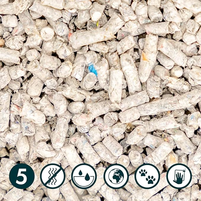 Omlet Premium Paper Cat Litter | Non-Clumping & Perfect for Kittens | Biodegradable and Lightweight Cat Litter Option | Excellent Odour Control and High Absorbency | No. 5 - Paper - 7 lbs. 11 oz.