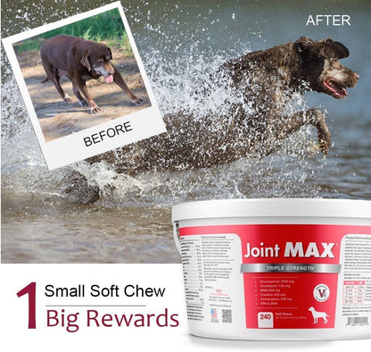 TS Joint Supplement Vet Formulated Pain & Inflammation Relief Treats Hip Dysplasia & Arthritis.Glucosamine, Chondroitin, Turmeric, MSM, HA, Creatine, Omega 3 EPA+DHA. All Dogs 240 Soft Chews