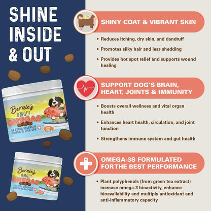 Bernie’s OMG! Omegas Chews for Dogs - 5X Extra Strength DHA+EPA, Fish Oil, Healthy Skin & Coat, Allergy Relief, Joint Supplement (Pork Flavor)