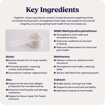 Summit Equine Hoof Strength Powder for Horses, Promotes Healthy Hooves with Biotin, Amino Acids, and Minerals, Horse Hoof Supplement,11 oz, 30-Day Supply