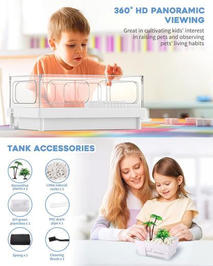Small Turtle Tank, Aquarium, Acrylic Terrarium with Basking Platform, Bottom Drainage, Multi-Function Areas for Turtles, Crabs, Crayfish, Reptiles. - Pawvie