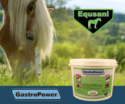 GastroPower Digestible Free Fatty Acid Feed Concentrate for Horses