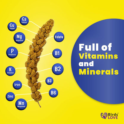 Birds LOVE Spray Millet – 9 oz GMO-Free, No Stems (Only Edible Tops) – Healthy Treat for Parakeets, Cockatiels, Finches, Canaries & Lovebirds