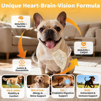 25-in-1 Dog Multivitamin Chews – All-in-One Daily Vitamins & Supplements for Dogs, Joint Support with Glucosamine MSM, Omega-3 Skin & Coat, Gut, Heart & Brain, All Breeds & Ages, Beef, 60Ct