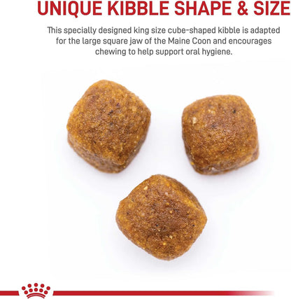 Royal Canin Maine Coon Breed Adult Dry Cat Food, 6 lb bag