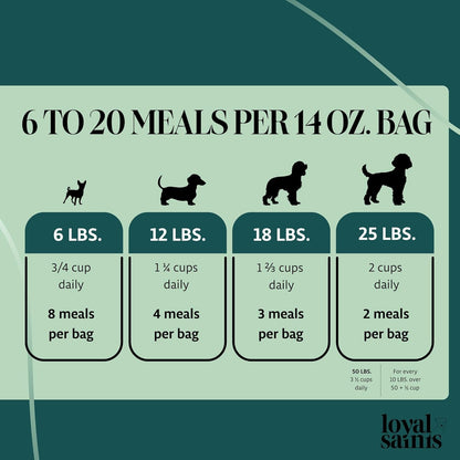 Freeze Dried Raw Dog Food - Premium Beef Flavor with High Protein and Grain Free Dog Food for Small or Large Breeds and Picky Eaters - Versatile as Meal Topper, Snack, and Treats, 14 Oz