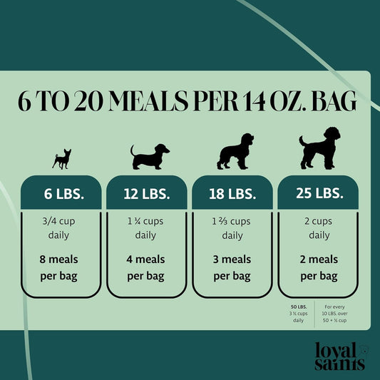 Freeze Dried Raw Dog Food - Premium Beef Flavor with High Protein and Grain Free Dog Food for Small or Large Breeds and Picky Eaters - Versatile as Meal Topper, Snack, and Treats, 5 Oz