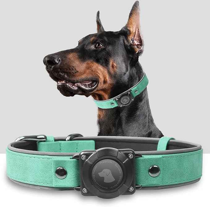 Leather AirTag Dog Collar, Waterproof Dog Collar with Air Tag Holder, Compatible with Apple Air Tag, Reflective, Durable, Comfortable Padded GPS Dogs Collars (Teal, XL)