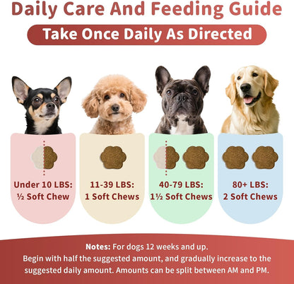 Dog Allergy Chews, Probiotics Supplement for Dogs Seasonal Allergies & Immune Support & Gut Health Pro, Mushroom Soft Chews for Joint, Energy, Itching Skin Support, Bacon Flavor - 90 Count