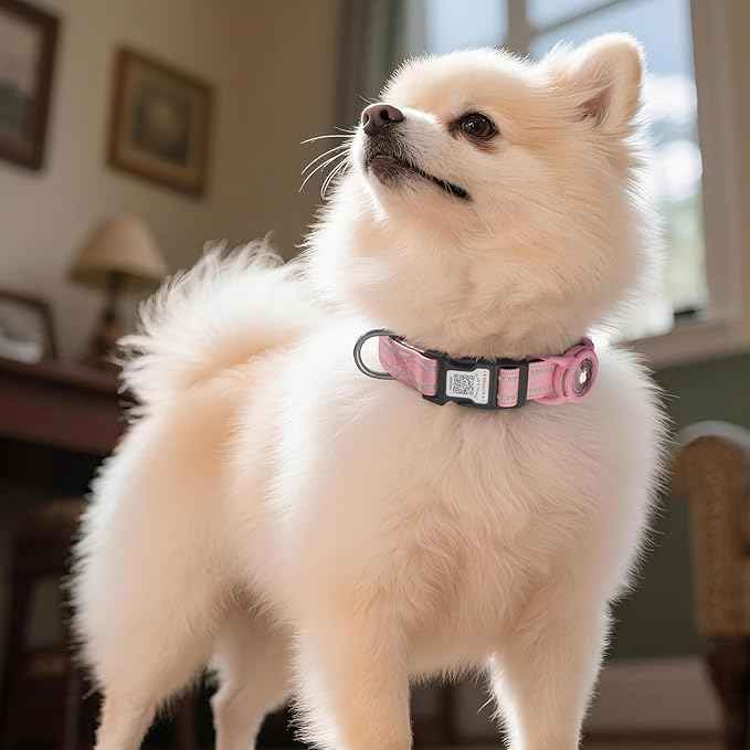 Airtag Dog Collar with QR Code, Reflective Dog Collar with Airtag Holder, Soft Padded & Safety Locking Buckle Adjustable Dog Collar for Small Dogs