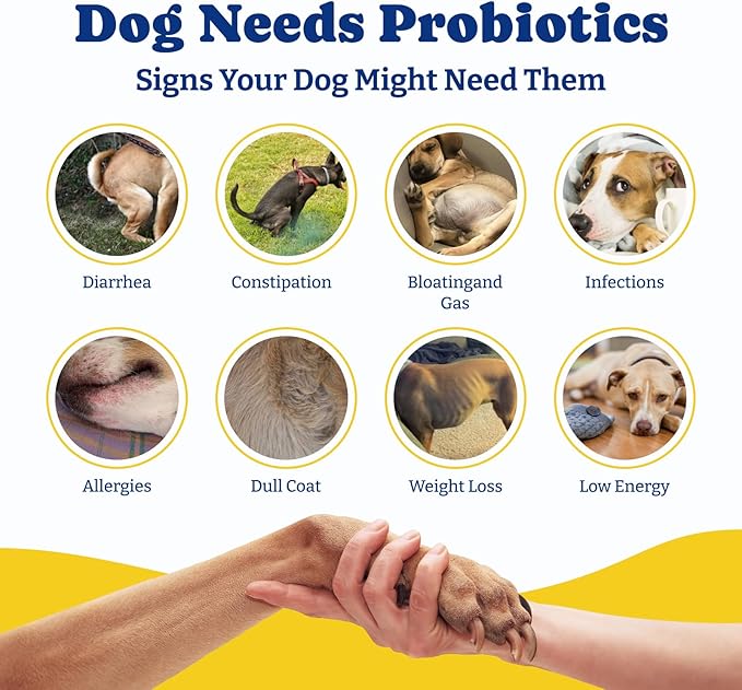 Probiotics for Dogs - Dog Probiotics for Digestive Health, Yeast, Itchy Skin, Gut Health, Immune & Skin - 6 Billion CFUs, 180 Soft Chews, Duck & Pear Flavor - with Prebiotics & Digestive Enzymes