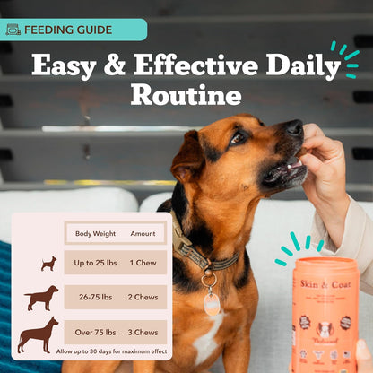 Natural Dog Company Skin & Coat Supplement for Dogs – Omega 3 Salmon Oil, Biotin & Vitamin E Support Shiny Coat, Healthy Skin & Normal Shedding, Promotes Comfort from Occasional Itch, 180 Count