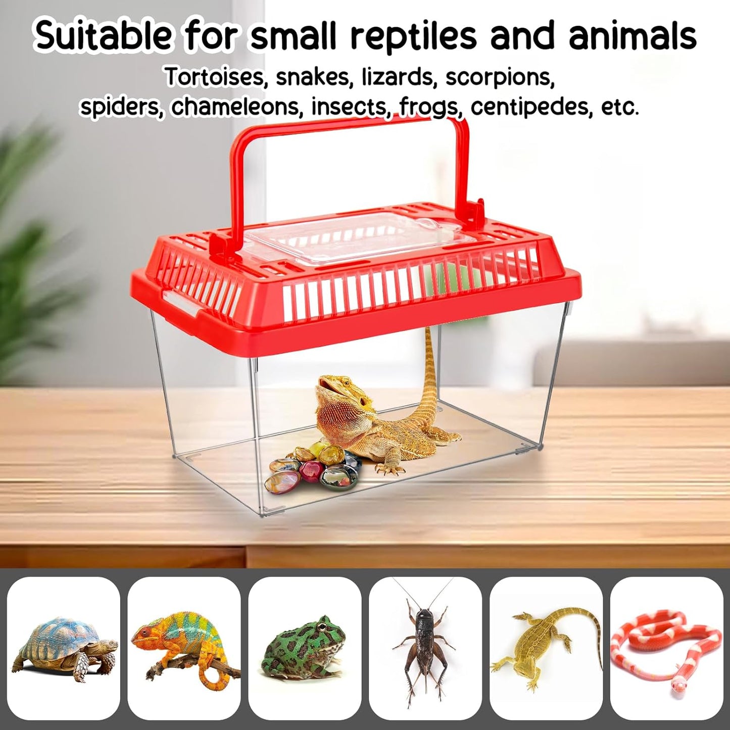 12Pcs Plastic Reptile Terrariums Carrier Cage, Tarantula Enclosure Snake Breeding Box Hatching Container Transparent Fish Tank Turtle Aquarium with Random Color Lid for Shrimp, S(5.9" x 3.5" x 4.3")