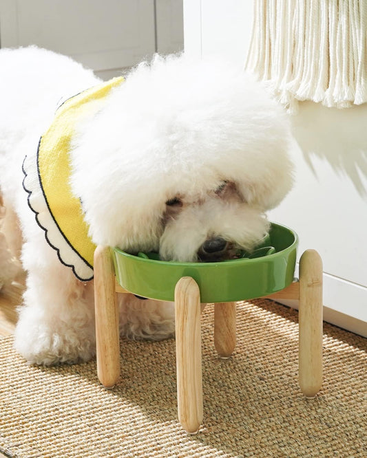 LE TAUCI Ceramic Slow Feeder Dog Bowls Elevated, 3 Cup Raised Bowl with Wooden Stand for Medium Large Breed, Slow Down Eating, Puzzle Dog Food Bowl, Clover Green
