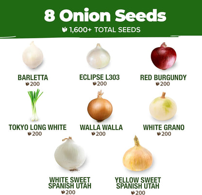 HOME GROWN 𝗨𝗦𝗔 𝗣𝗥𝗘𝗠𝗜𝗨𝗠 8 Onion Seeds for Planting – 1,600 Heirloom 𝗡𝗢𝗡-𝗚𝗠𝗢 Vegetable Seeds – Grow Sweet, Yellow, Red, Spanish, Green & Vidalia Onions in Outdoor or Indoor Home Garden