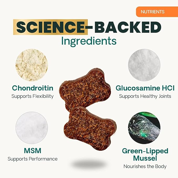 VetriScience Extra Strength Hip & Joint Supplement for Dogs, GlycoFlex 3 – Vet Formulated Glucosamine, MSM & Green-Lipped Mussel Chews for Mobility, Flexibility & Joint Support, Chicken Flavor, 120ct