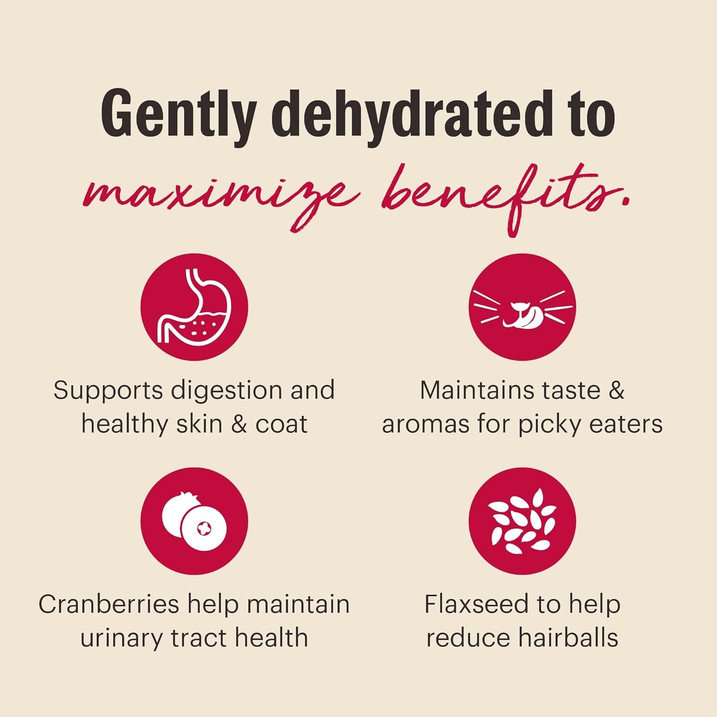 The Honest Kitchen Dehydrated Grain Free Turkey Cat Food, 4 lb Box