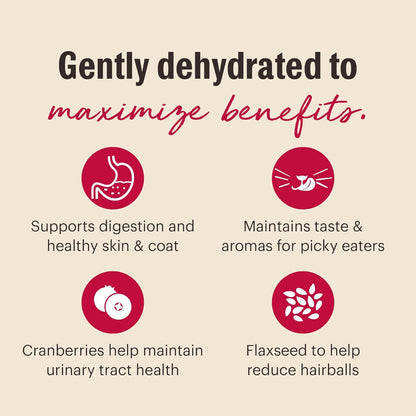 The Honest Kitchen Dehydrated Grain Free Chicken Cat Food 4 Pound (Pack of 1)