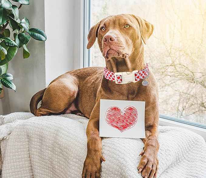 DOGWONG Valentine's Dog Collar - Red Heart Adjustable Cotton Heart Dog Collar - Perfect for Small Dogs