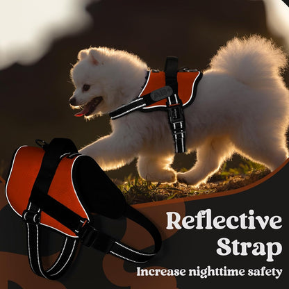 rabbitgoo Dog Harness for Small, Easy On Pet Vest with One Buckle, No Pull Adjustable Service Harness with D-Ring & Handle, Reflective for Safety Walking, Training, Orange, S