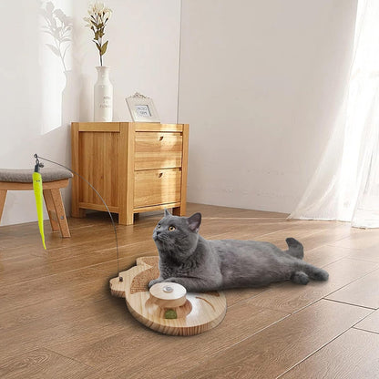 Petest Interactive Cat Toy Natural Sisal Cat Scratcher Toy with Catnip Balls, Fish Design