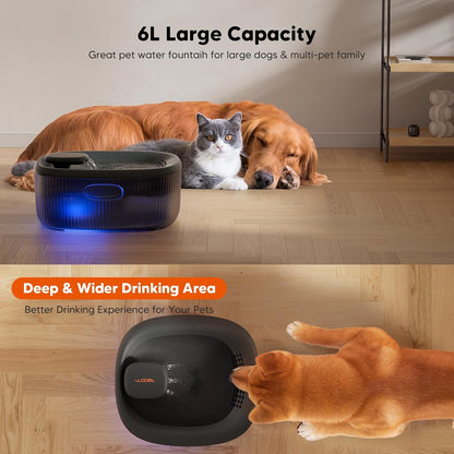 WOPET Dog Water Fountain for Large Dogs, 6L/205oz/1.7Gal Automatic Dog and Cat Water Fountain,Dog Water Dispenser with 2 Filters,Ultra-Quiet Pump,Great for Large Dogs Cats and Multi-Pet Home